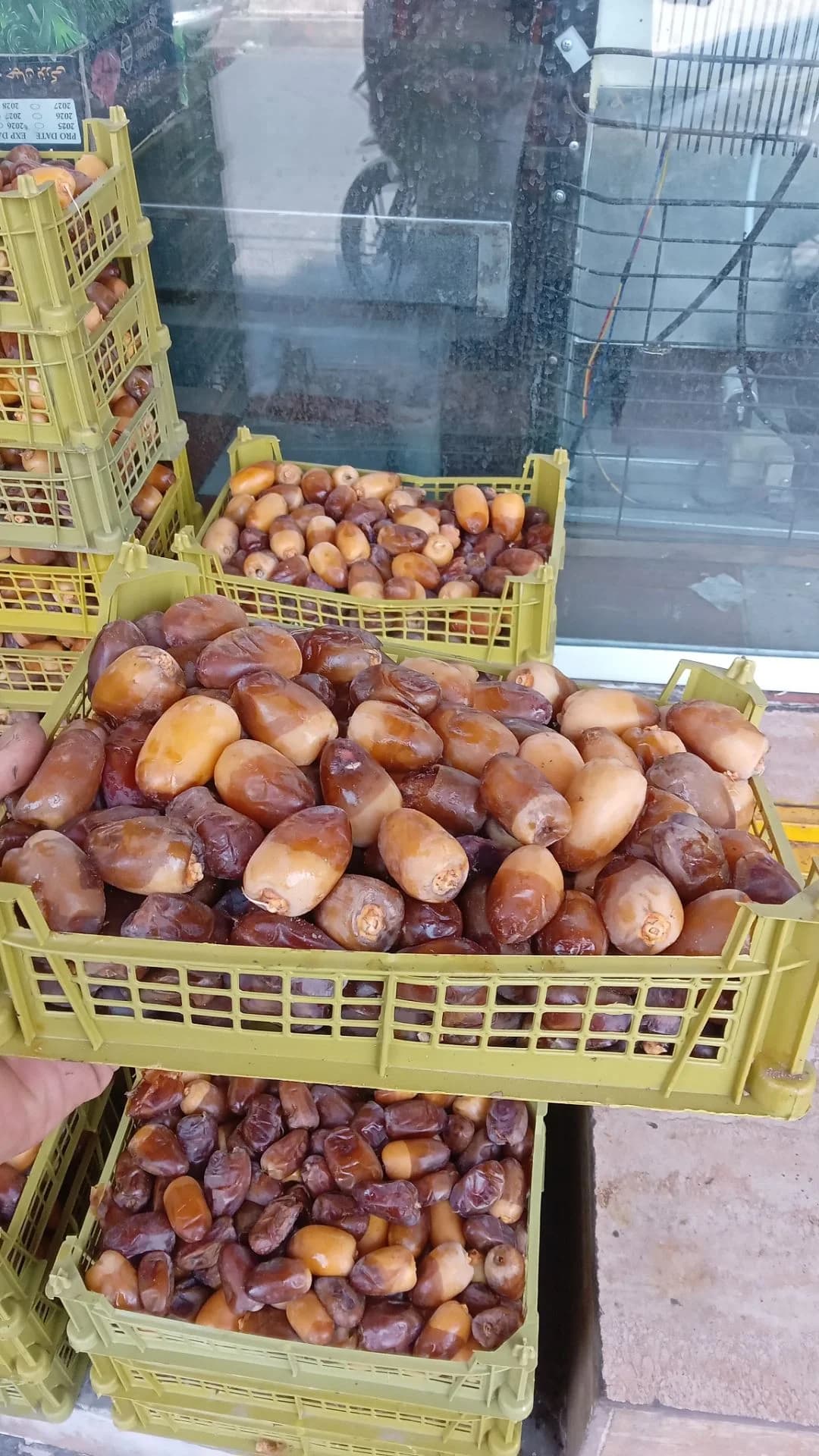 رطب کبکاب خشت سبد دو کیلویی
